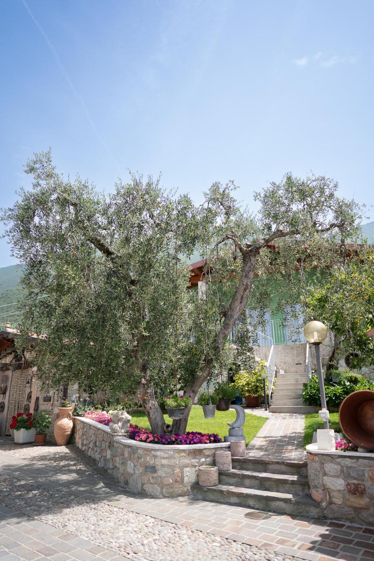 Appartamenti Ceccherini Rosa-Viola Malcesine Kültér fotó